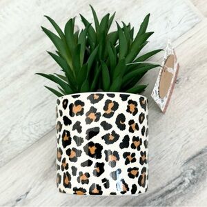 Mini Tabletop Leopard Artificial Succulent Plant